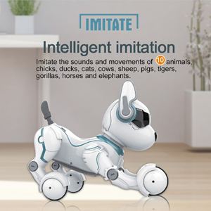 ربات اسباب بازی سگ کنترلی مدل Remote Control Robot LEIDY DOG Toy A001_اسباب بازی